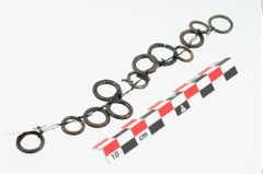 Foto von Bronzering (NHMW-PRAE-025489)